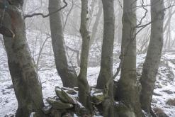 Milešovka - únor 2021