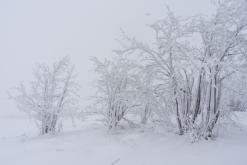 Klínovec - leden 2021