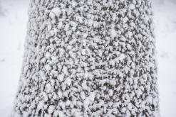 Klínovec - leden 2021