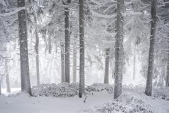 Klínovec - leden 2021