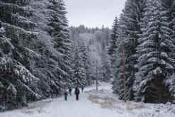 Rozhledna Jedlová - leden 2021