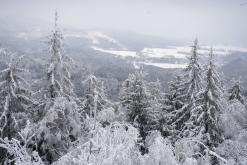 Rozhledna Jedlová - leden 2021