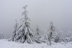 Rozhledna Jedlová - leden 2021