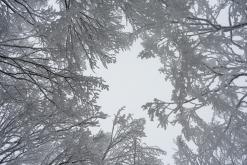 Rozhledna Jedlová - leden 2021