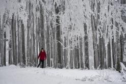 Rozhledna Jedlová - leden 2021