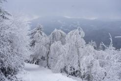 Rozhledna Jedlová - leden 2021