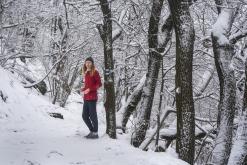 Milešovka - leden 2021