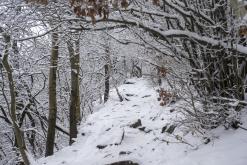 Milešovka - leden 2021