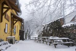 Milešovka - leden 2021