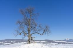 Zřícenina hradu Košťálov - únor 2021
