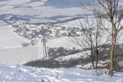 Radobýl - únor 2021