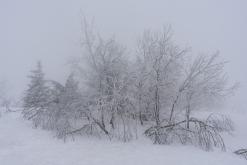 Klínovec - únor 2021