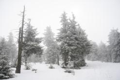 Klínovec - únor 2021