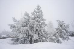 Klínovec - únor 2021