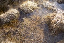 Děčínský Sněžník - únor 2021