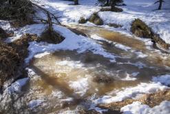 Děčínský Sněžník - únor 2021