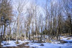 Děčínský Sněžník - únor 2021