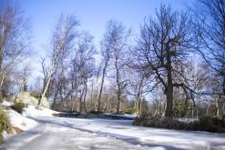 Děčínský Sněžník - únor 2021