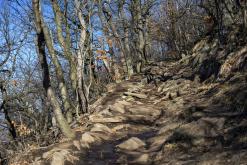 Milešovka - březen 2021