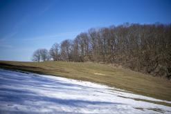 Milešovka - březen 2021