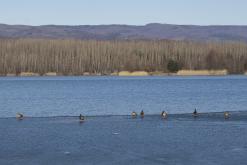 Jezero Barbora - březen 2021