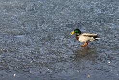 Jezero Barbora - březen 2021