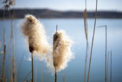 Pískovna Dobříň - březen 2021