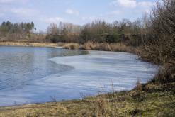 Pískovna Dobříň - březen 2021