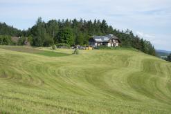 Malé Svatoňovice - červen 2021