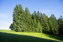 CHKO Broumovsko - červen 2021