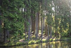 CHKO Broumovsko - červen 2021