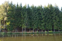 CHKO Broumovsko - červen 2021