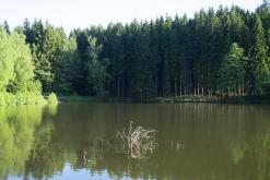 CHKO Broumovsko - červen 2021