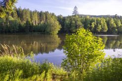 CHKO Broumovsko - červen 2021