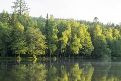 CHKO Broumovsko - červen 2021