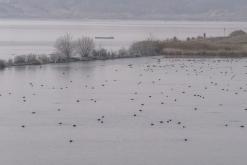 Jezero Milada - leden 2021