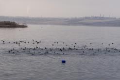 Jezero Milada - leden 2021