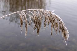 Jezero Milada - leden 2021