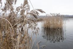 Jezero Milada - leden 2021