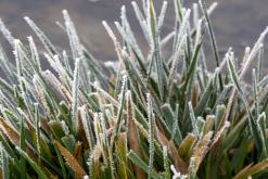 Jezero Milada - leden 2021