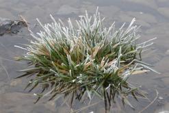 Jezero Milada - leden 2021