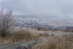 Jezero Milada - leden 2021