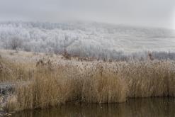 Jezero Milada - leden 2021