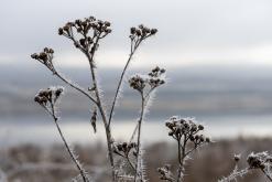 Jezero Milada - leden 2021