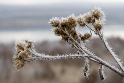 Jezero Milada - leden 2021