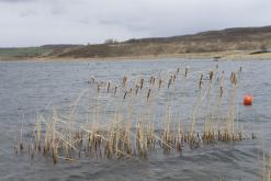 Jezero Most - duben 2021