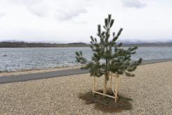 Jezero Most - duben 2021