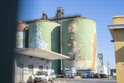 Catania - Výstup pod Etnu