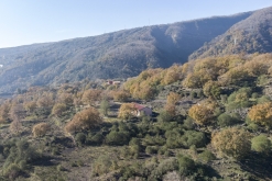 Catania - Výstup pod Etnu