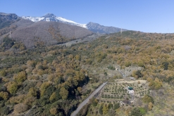 Catania - Výstup pod Etnu